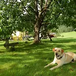 Peterhof - Komm Als Gast & Geh Als Freund Hinterstoder