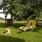 Holiday home Peterhof - Komm Als Gast & Geh Als Freund Hinterstoder