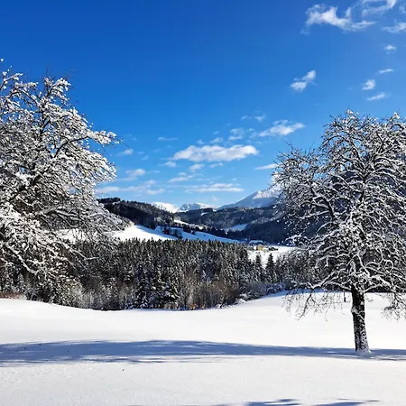 Peterhof - Komm Als Gast & Geh Als Freund