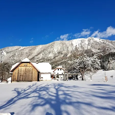 Farm stay Peterhof - Komm Als Gast & Geh Als Freund Hinterstoder