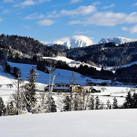 Peterhof - Komm Als Gast & Geh Als Freund *