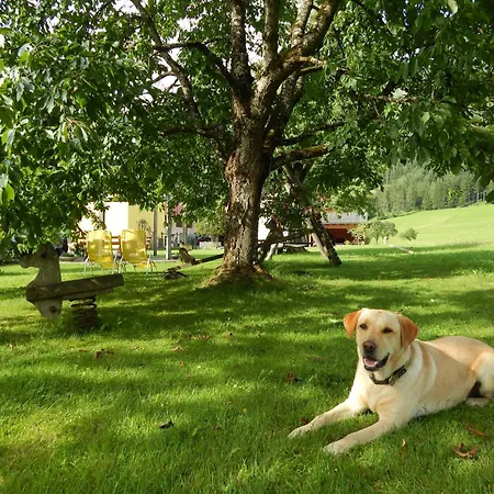 Peterhof - Komm Als Gast & Geh Als Freund Hinterstoder