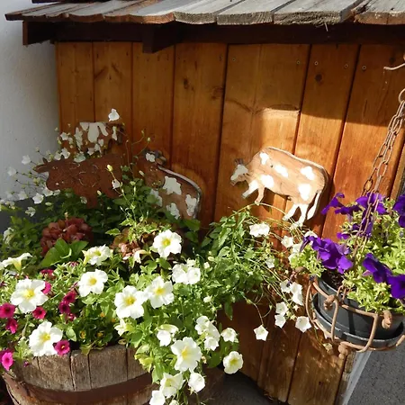 Peterhof - Komm Als Gast & Geh Als Freund בית חווה