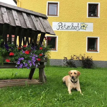 Peterhof - Komm Als Gast & Geh Als Freund Hinterstoder