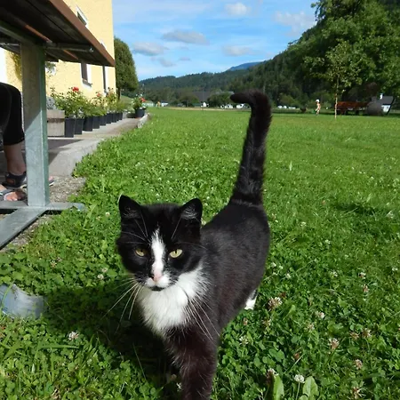 Gospodarstwo agroturystyczne Peterhof - Komm Als Gast & Geh Als Freund *