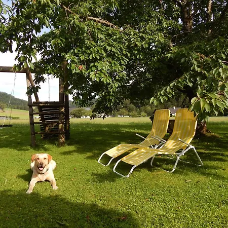 בית חווה Peterhof - Komm Als Gast & Geh Als Freund הינטרסטודר