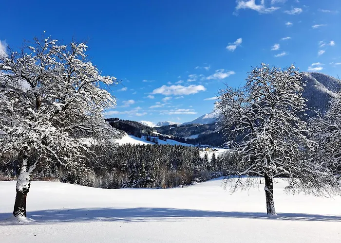 Peterhof - Komm Als Gast & Geh Als Freund