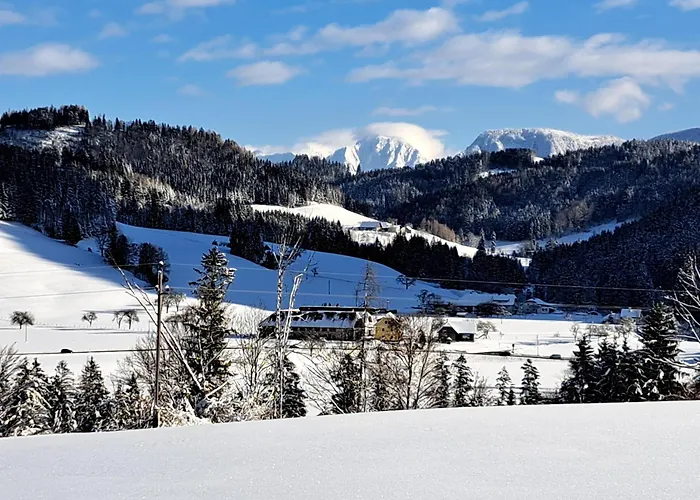 Peterhof – Komm Als Gast&geh Als Freund *