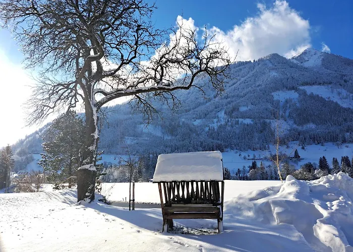 Peterhof – Komm Als Gast&geh Als Freund * Hinterstoder