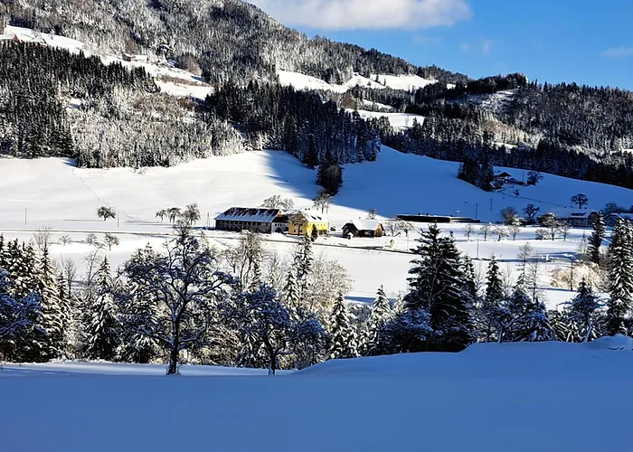 Ferienhaus Peterhof – Komm Als Gast&geh Als Freund