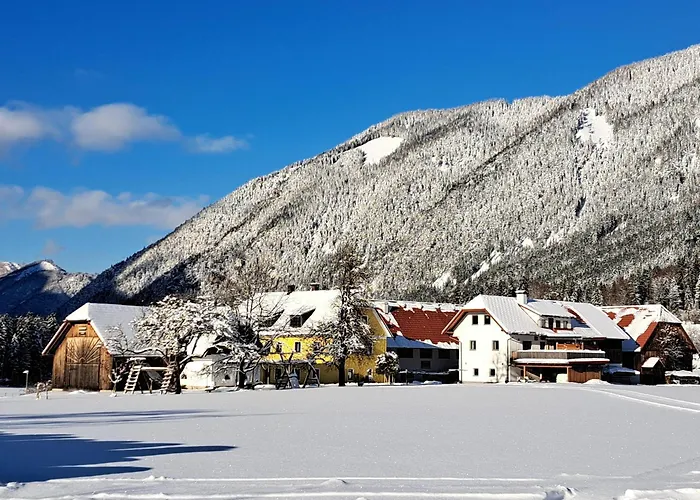 Peterhof - Komm Als Gast & Geh Als Freund Semesterbostad Hinterstoder