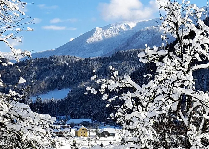 Peterhof - Komm Als Gast & Geh Als Freund Semesterbostad *