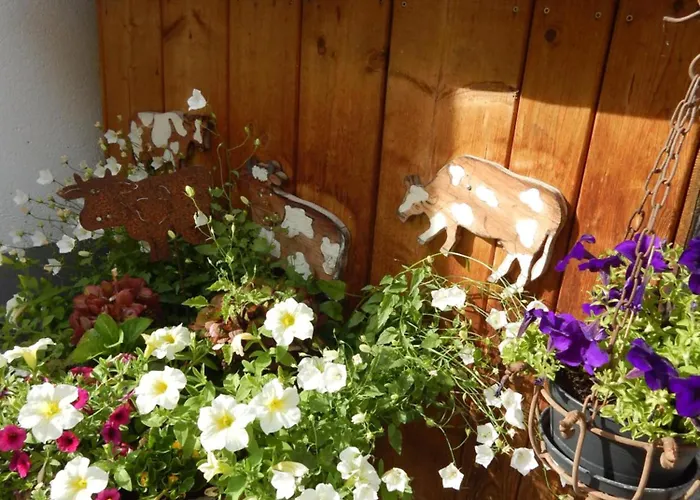 Peterhof – Komm Als Gast&geh Als Freund Ferienhaus