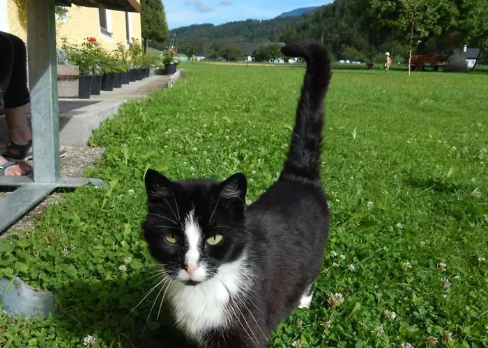 Ferienhaus Peterhof – Komm Als Gast&geh Als Freund *
