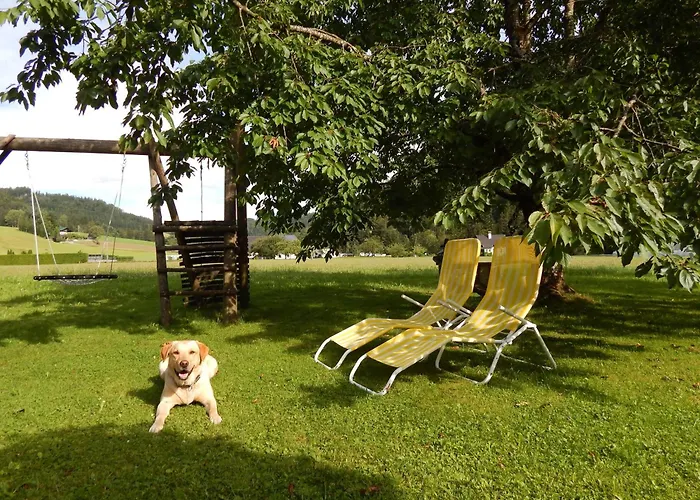 Ferienhaus Peterhof – Komm Als Gast&geh Als Freund Hinterstoder