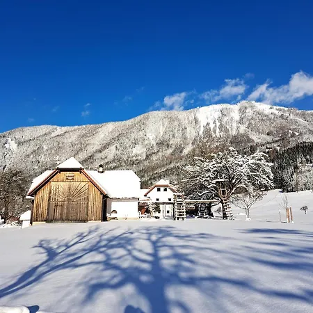 Alloggio per agriturismo Peterhof - Komm Als Gast & Geh Als Freund Hinterstoder
