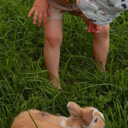 Peterhof - Komm Als Gast & Geh Als Freund