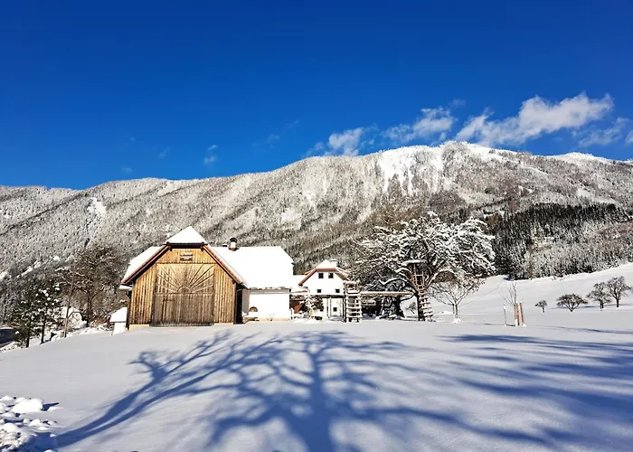 Tatil Evi Peterhof - Komm Als Gast & Geh Als Freund Hinterstoder