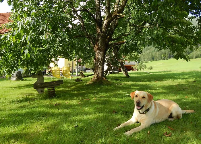 Peterhof - Komm Als Gast & Geh Als Freund Hinterstoder