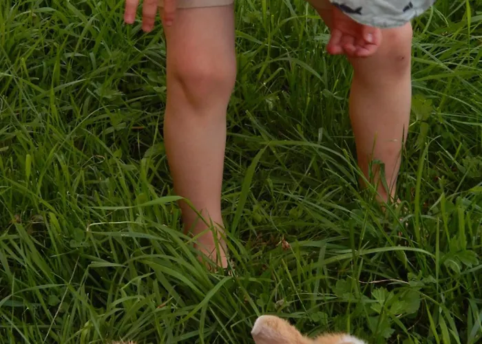 Peterhof - Komm Als Gast & Geh Als Freund